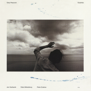 猛男GayGay自慰✅免费网站
